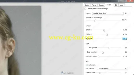 Photoshop人像皮肤修饰技术实例训练视频教程的图片2