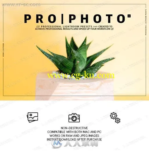 多组质感干净清冷色调实物摄影Lightroom模板的图片1