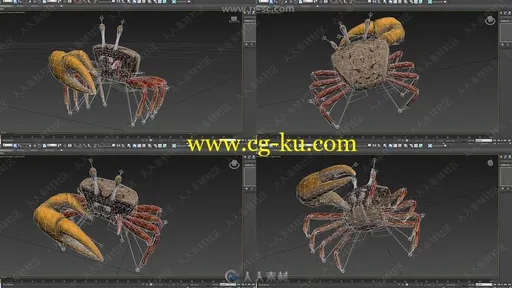 鲸鱼海豚螃蟹等海洋动物鱼类3D模型合集的图片1