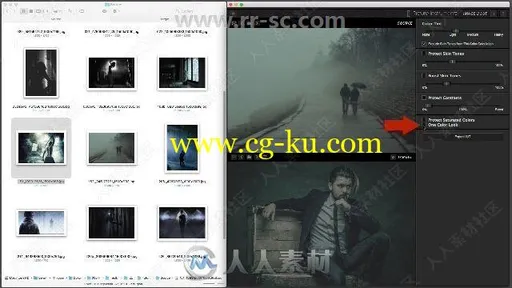 Picture Instruments Image 2 LUT Pro调色软件V1.0.11版的图片2