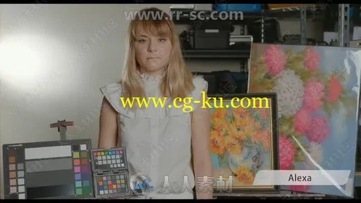 Emotivecolor GHAlex LUT电影级色彩预设的图片2