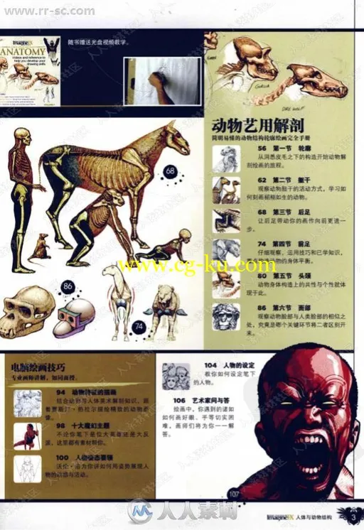 人体解刨绘画法与动物结构教程书籍杂志的图片3