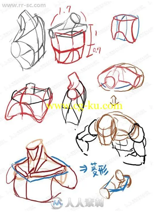 最全krenz新整理K大人手把手教你画插画视频教程的图片1