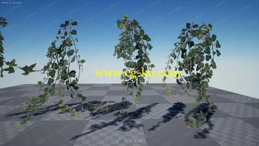 大片藤蔓树叶网格渲染道具UE4游戏素材资源的图片1