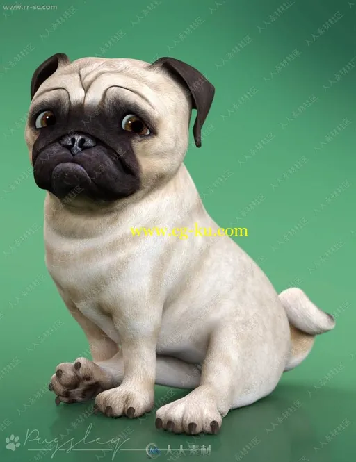 多组有趣表情姿势沙皮狗3D模型的图片2