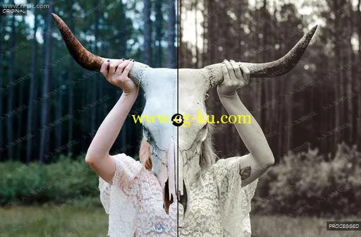 清新自然丛林光景多组色调Lightroom预设的图片2