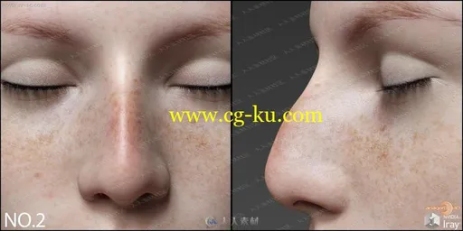 雀斑脸颊多组不同形态鼻子3D模型的图片2