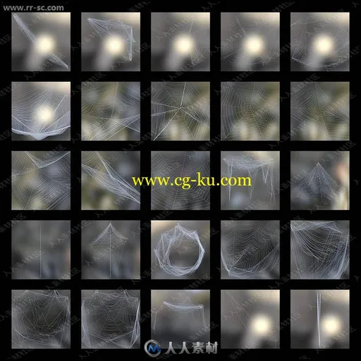 25组不同形态地牢蜘蛛网3D模型的图片3
