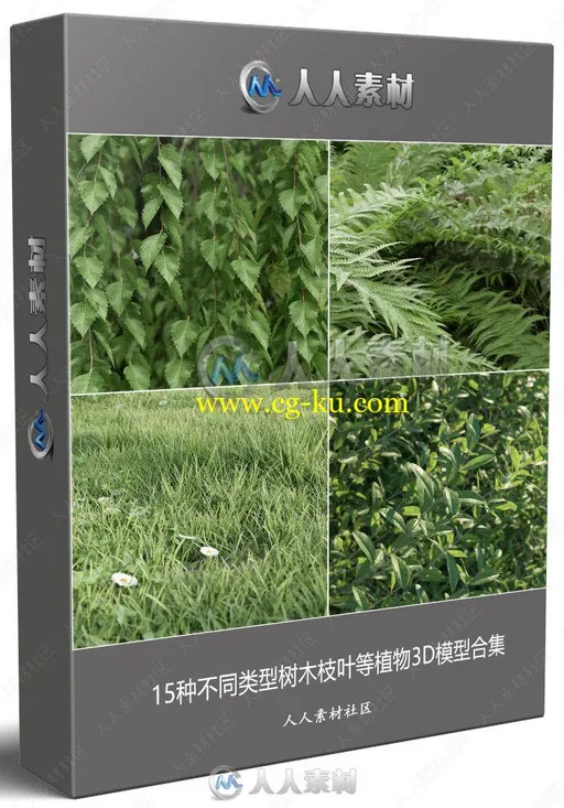 15种不同类型树木枝叶等植物3D模型合集的图片1