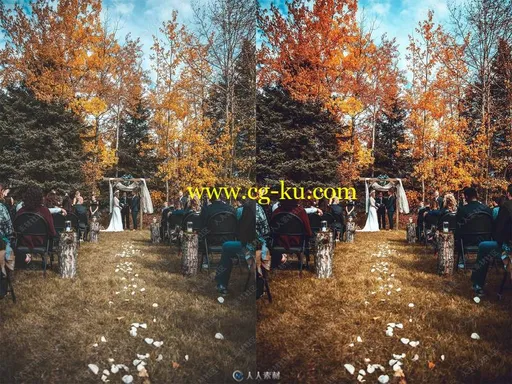 25组文艺高品质婚礼摄影艺术特效PS动作的图片1