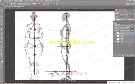 Zbrush大师级人体解刨分解雕刻中文教程上的图片1