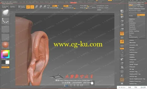 Zbrush大师级人体解刨分解雕刻中文教程上的图片2