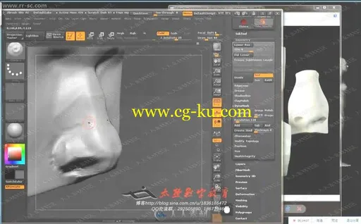 Zbrush大师级人体解刨分解雕刻中文教程上的图片3