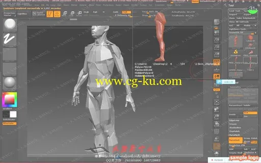 Zbrush大师级人体解刨分解雕刻中文教程下的图片3