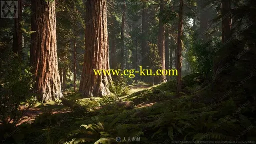 红杉树森林场景环境UE4游戏素材资源的图片1