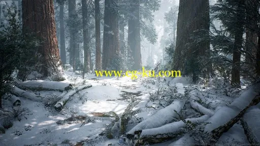 红杉树森林场景环境UE4游戏素材资源的图片3