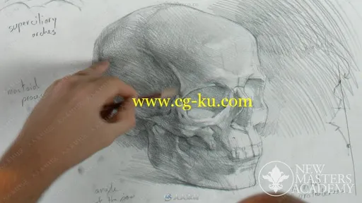 俄罗斯大师级传统绘画技法视频教程的图片1
