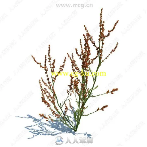 148组精致草木小植物3D模型合集 Evermotion Archmodels第124季的图片1