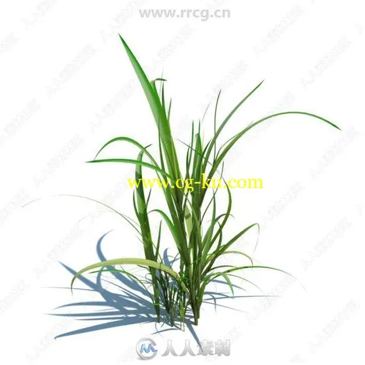 148组精致草木小植物3D模型合集 Evermotion Archmodels第124季的图片2