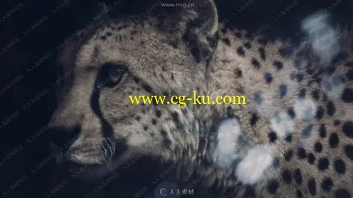 75组超华丽镜头光晕特效4K高清视频素材合集的图片2