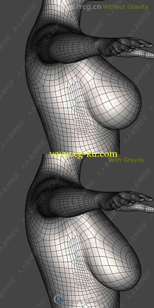 BreastJig Script女性胸部重力与变形DAZ插件与脚本的图片3
