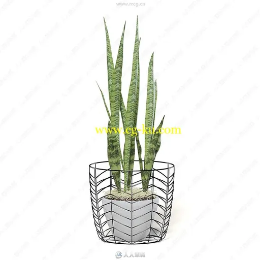 30组室内盆栽植物装饰3D模型合集 CGAxis第111期的图片3