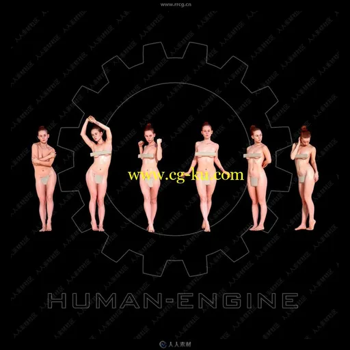 超精致女性人体剖析参考3D模型的图片1