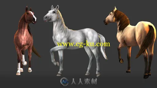 骑马骑宠游戏动画系统Unity游戏素材资源的图片2