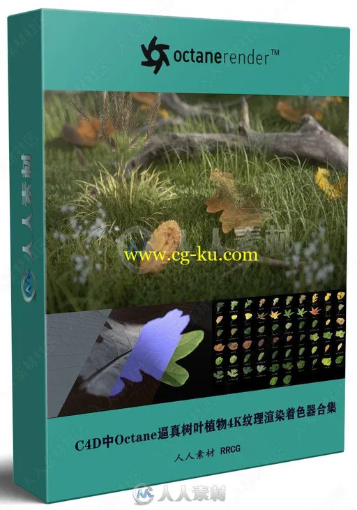 C4D中Octane逼真树叶植物4K纹理渲染着色器合集的图片3