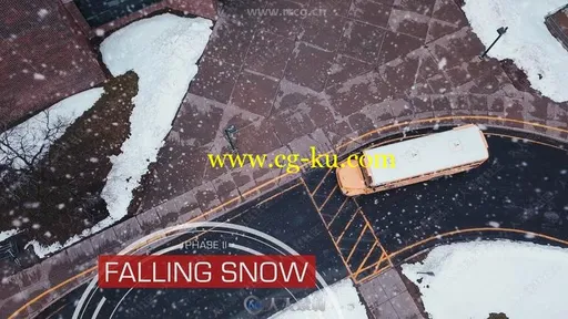 4K高清雪花飘落大雪纷飞视频素材合集的图片1