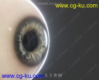 15组角色眼睛眼球高精度3D模型合集的图片1