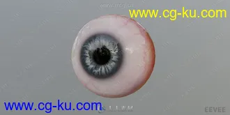 15组角色眼睛眼球高精度3D模型合集的图片2