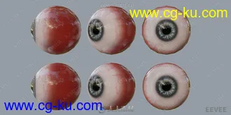 15组角色眼睛眼球高精度3D模型合集的图片3