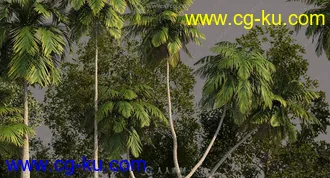 17组高品质树木植物3D模型合集的图片1