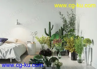21组高质量室内植物盆栽3D模型合集的图片1