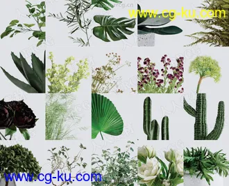 21组高质量室内植物盆栽3D模型合集的图片2