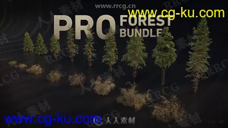 17组树木植物森林3D模型与4K纹理合集的图片2