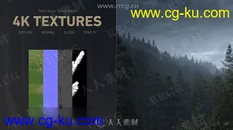 17组树木植物森林3D模型与4K纹理合集的图片3