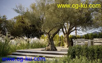 48组高质量树木草木植物3D模型合集的图片1