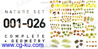 26组照片扫描自然植物树叶4K高精度纹理合集的图片3