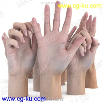 11组超精致女性手掌手臂动作姿势3D模型与贴图的图片1