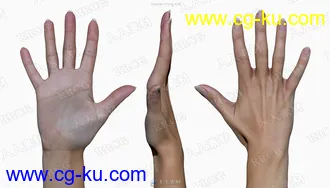 11组超精致女性手掌手臂动作姿势3D模型与贴图的图片2
