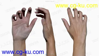 11组超精致女性手掌手臂动作姿势3D模型与贴图的图片3