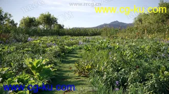 252组高精度蔬菜植物3D模型合集的图片1