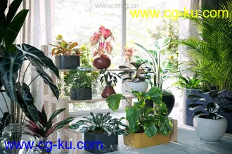 24组高精度家居装饰性草木植物3D模型合集的图片2