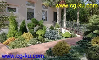 72组高精度草木植被植物3D模型合集的图片1
