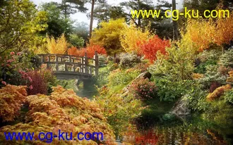 72组高精度灌木树木植物3D模型合集的图片2