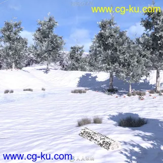 冬季寒冷室外场景雪景3D模型合集的图片3