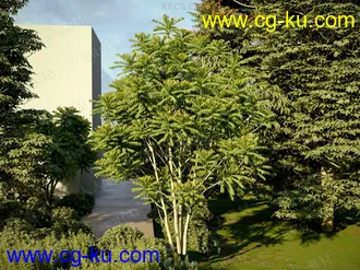 72组高精度茂密绿色树木植物3D模型合集的图片2
