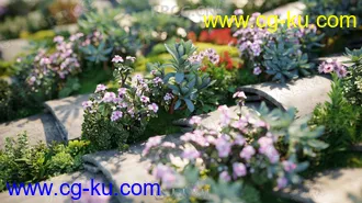 72组高精度佛手柑等多肉植物3D模型合集的图片3